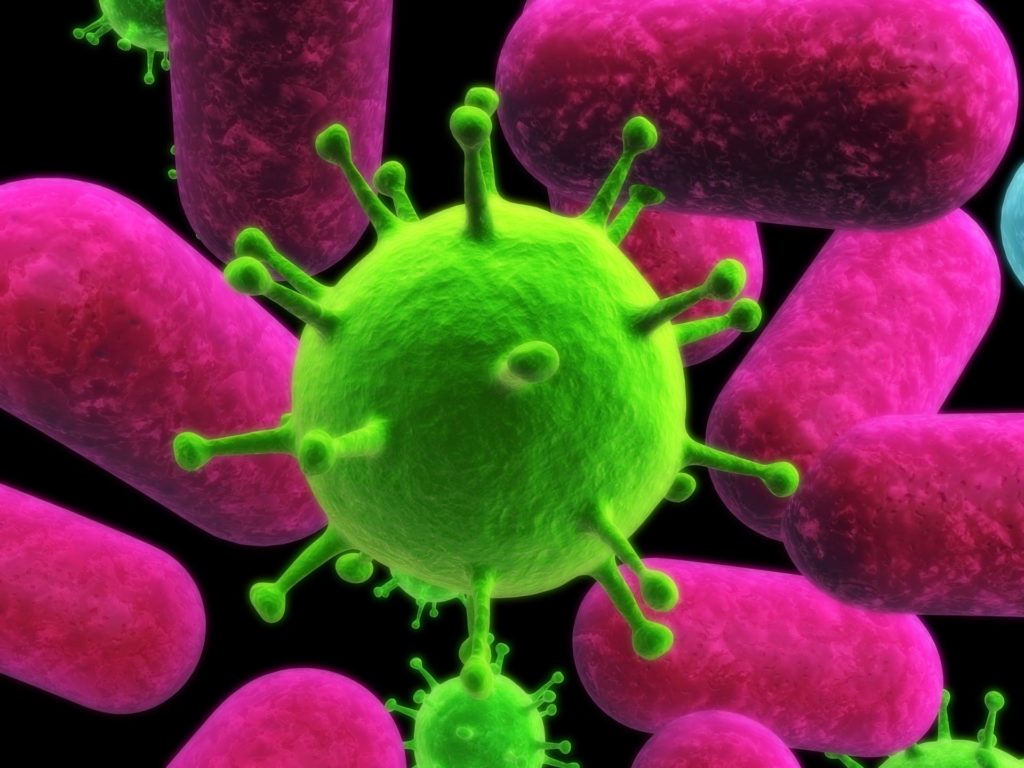 Volle Abwehrkraft voraus - gegen Bakterien und Viren