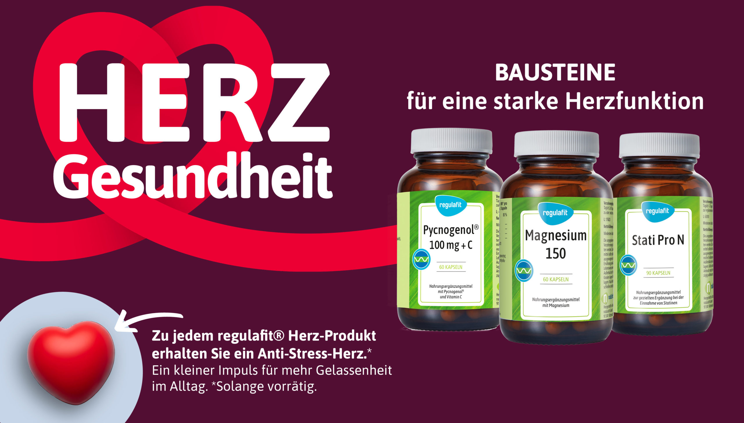 Herzgesundheit - Bausteine für eine starke Herzfunktion