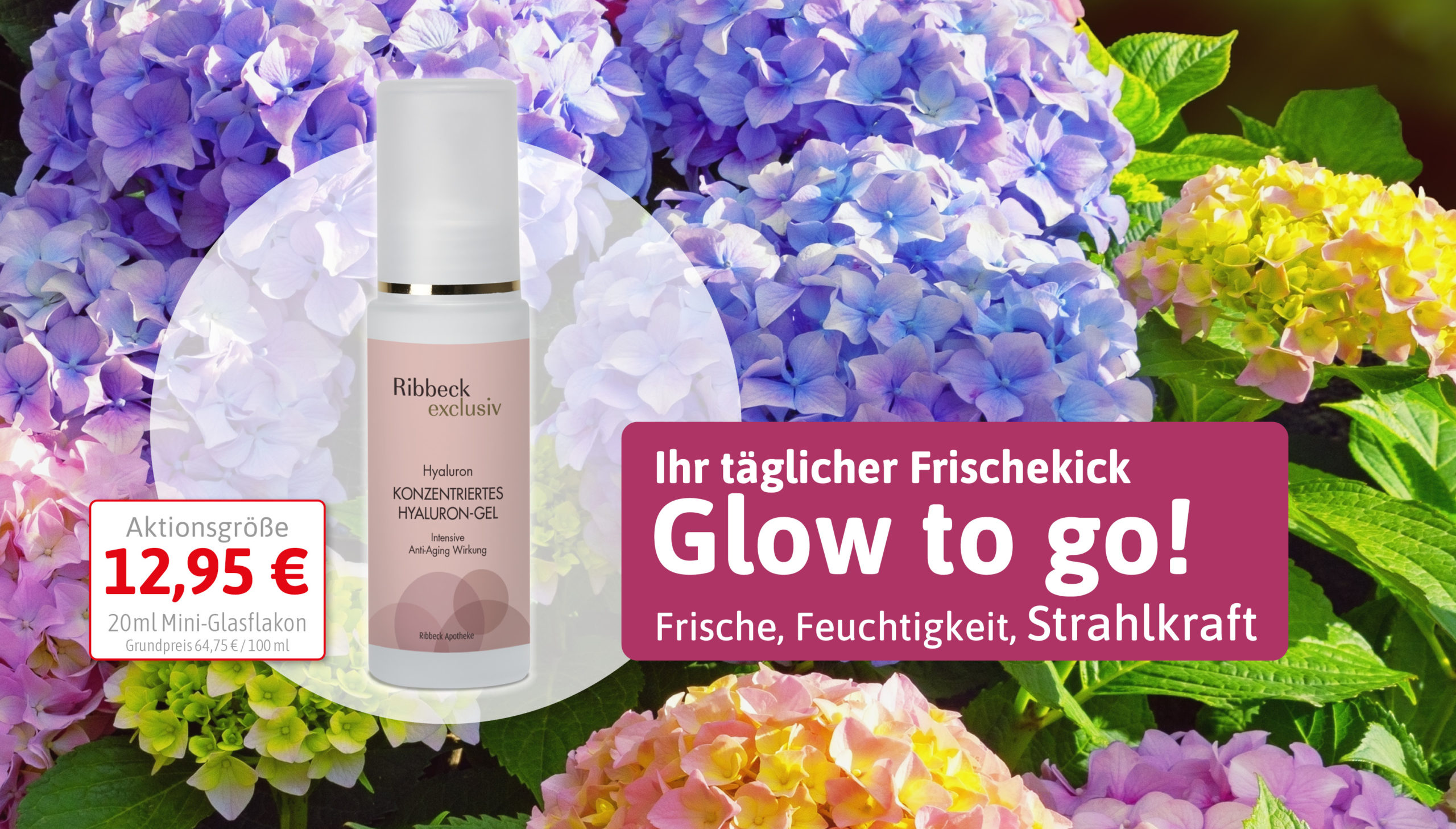 Konzentriertes Hyaluron Gel - Glow to go!